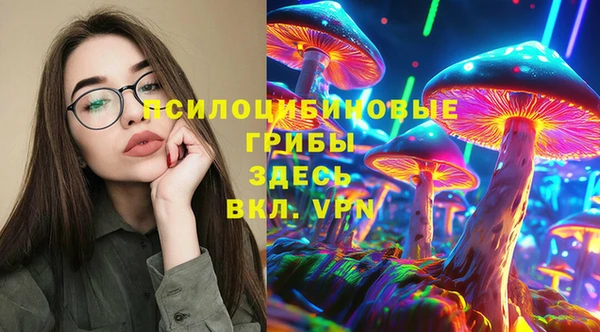амф Козловка