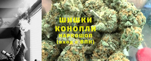 амф Козловка