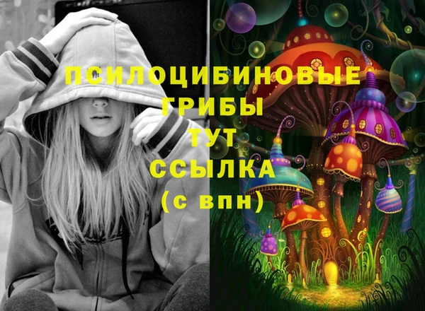 СК Козельск