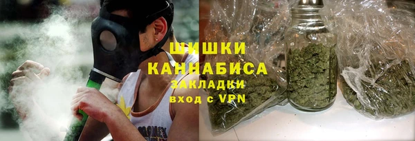 амф Козловка